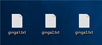 ginga_files.jpg